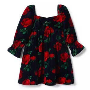 Girls Janie and Jack Rose Velvet Dress